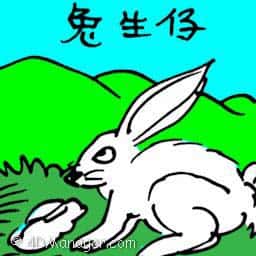 兔生仔 rabbit giving birth