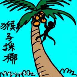 猴子采椰 monkey  plucking coconut