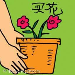 买花 buying flowers