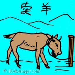 卖羊 selling goat