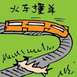 火车撞羊 goat hit by train