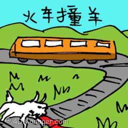 火车撞羊 goat hit by train