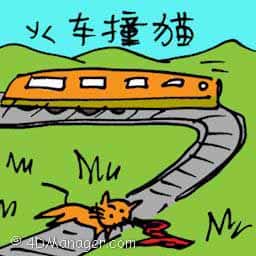 火车撞猪 cat hit by train