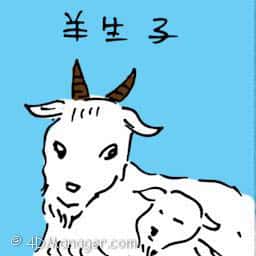 羊生仔 goat giving birth