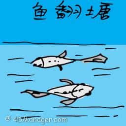 鱼翻塘 dead fish
