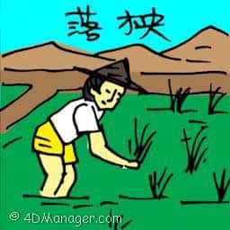 落秧 planting