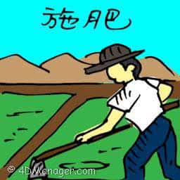 施肥 ferterlizing soil