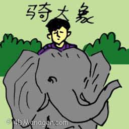 骑大象 riding elephant