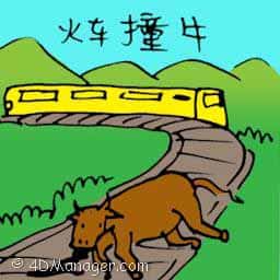 火车撞牛 cow knocked by train