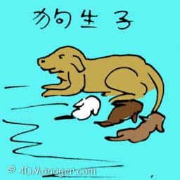 狗生仔 dog giving birth