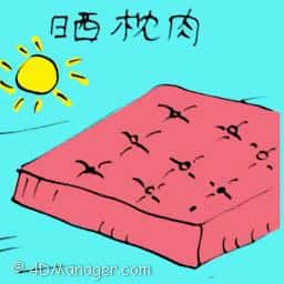 晒枕肉 drying mattress