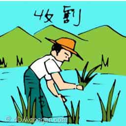 收割 harvesting