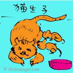 猫生仔 cat giving birth