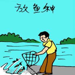 放鱼种 feeding fish