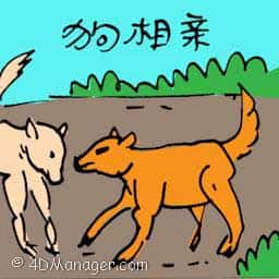 狗相亲 dog mating