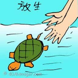 放生 freeing captive animals