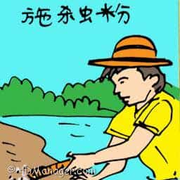 施杀虫粉 spraying insecticide