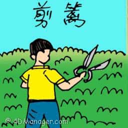 剪篱 剪篱 cutting fence