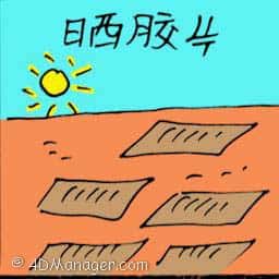 晒胶片 drying rubber