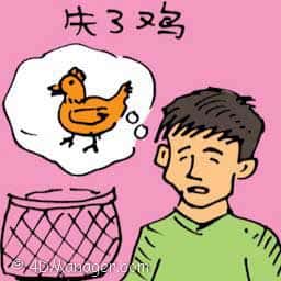 失了鸡 chicken lost