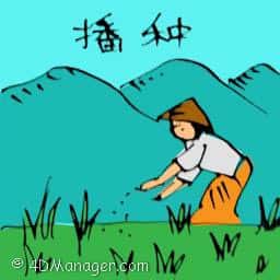 播种 sowing seeds