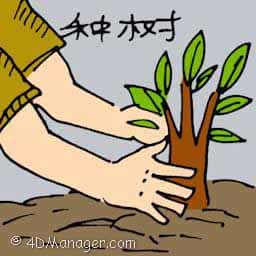 种树 planting