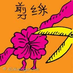 剪彩 cutting ribbon at opening ceremony