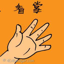 看掌 palm reading