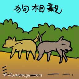 狗相亲 dogs mating