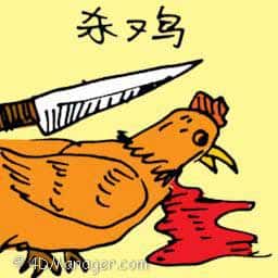 杀鸡 killing chicken