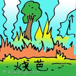 烧芭 burning jungle