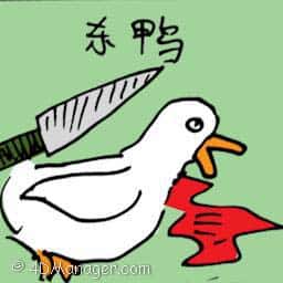 杀鸭 killing duck