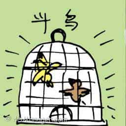 斗鸟 birds fighting