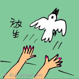 放生 releasing captive