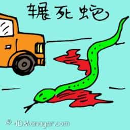 辗死蛇 car run over snake