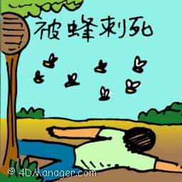 被蜂刺死 killed by bee / wasp