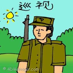 巡视 inspection