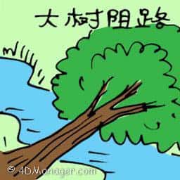 大树阻路 fallen tree