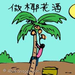 做椰花酒 harvesting toddy