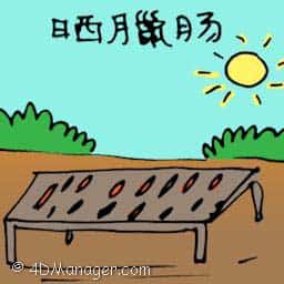 晒腊肠 drying chinese sausage / lap cheong