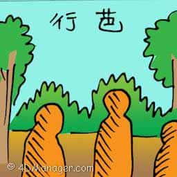 行芭 walking in the jungle