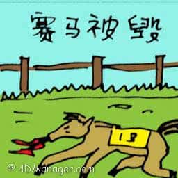 赛马被毁 race horse killed