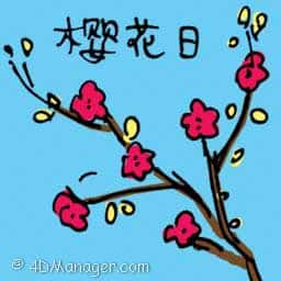 樱花日 oriental cherry