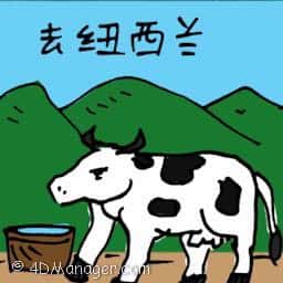 去纽西兰 ox