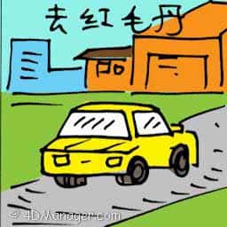 去红毛丹 travel to tanjong rambutan