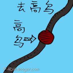 去高乌 labis