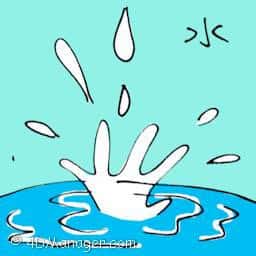 水 water
