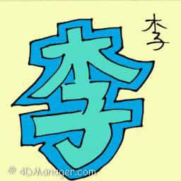 李 surname li