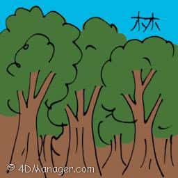 林 tropical forest