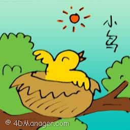 小鸟 small birds